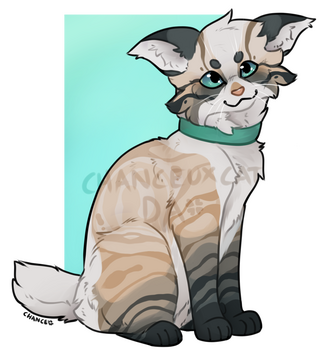 Colored with Mid-complex shading