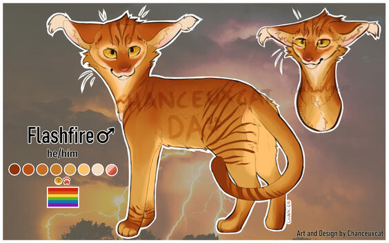 Full Custom & Simple Ref